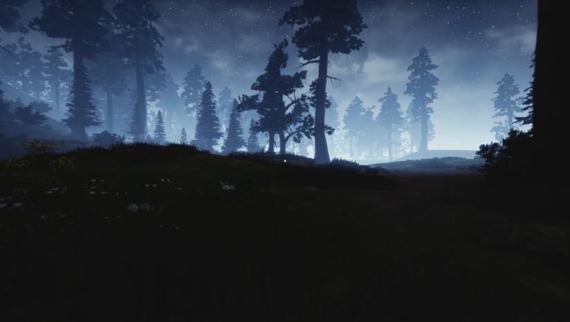 创作猫